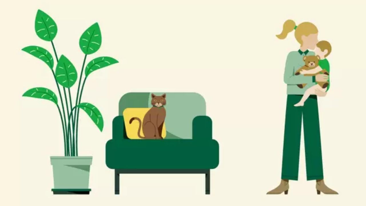 Learn How to Apply for Mutterschaftsgeld Maternity Benefit